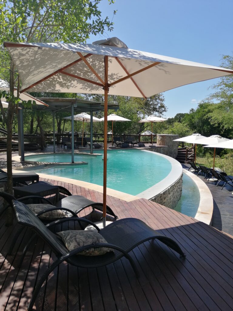 Geschwungener Swimmingpool mit Sonnenliegen und Schirmen in einem Safari-Resort in Südafrika