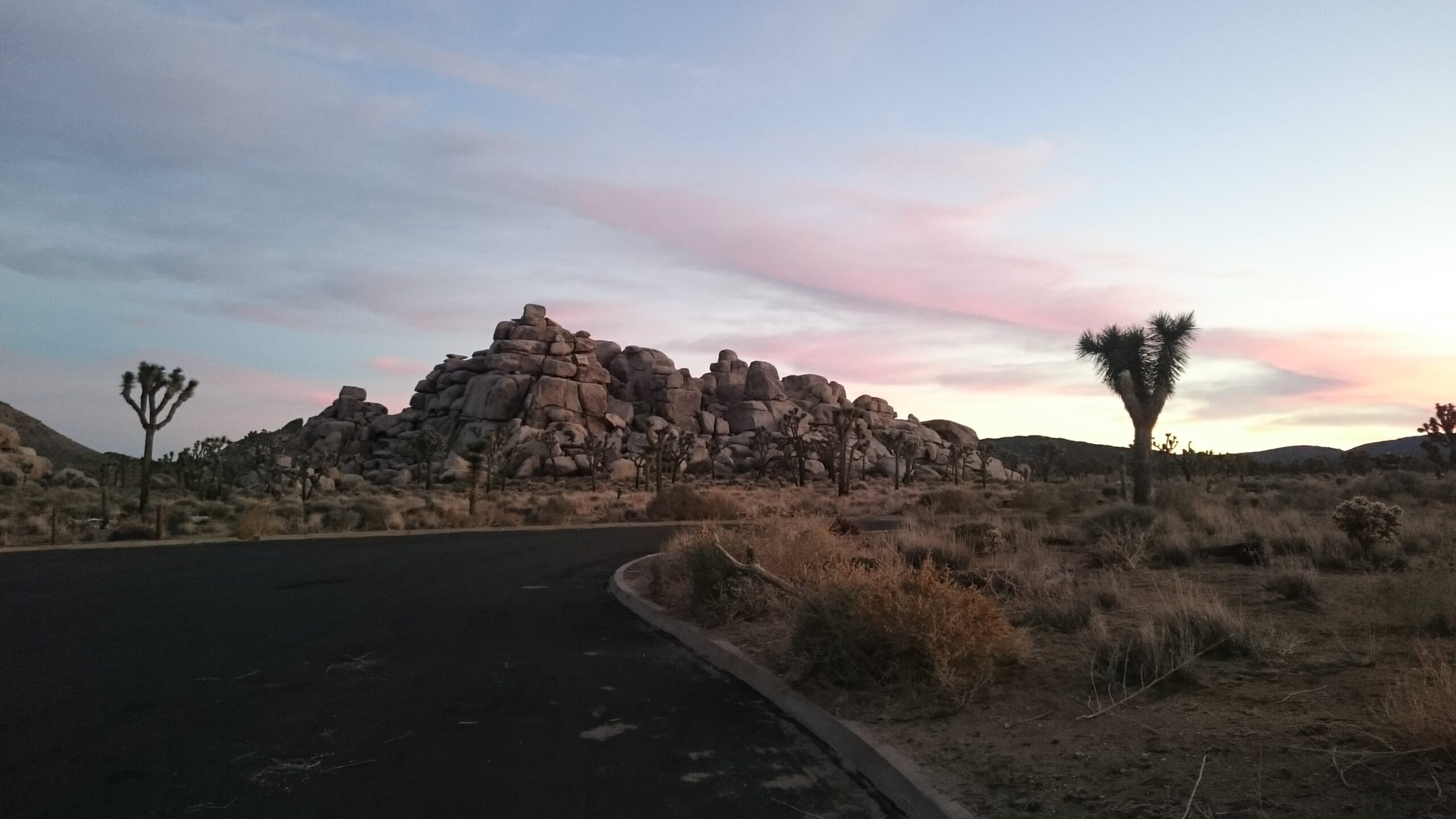 Kurvenstraße durch Felslandschaft im Joshua-Tree-Nationalpark, Kalifornien